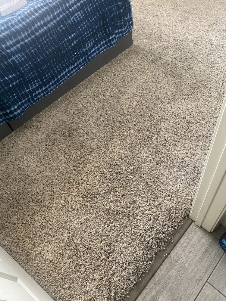 KING CARPET CLEANING LV 20 Photos Las Vegas, Nevada Carpet