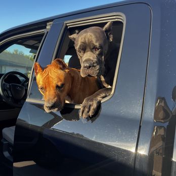 Trucks Only - Commercial Truck Dealers Near Me - Mesa, Arizona Trucks Only - Commercial Truck Dealers Near Me - Mesa, Arizona