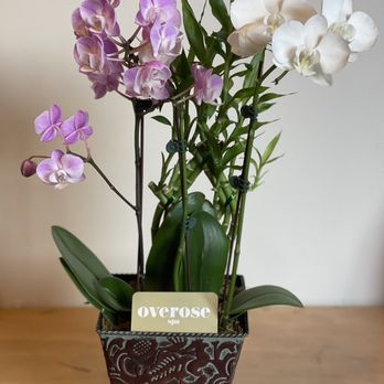 Overose Spa - Massage Therapy Near Me - Los Angeles, California