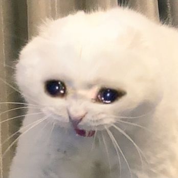 San Fernando Elementary School - When you bump in a kid on accident - Elementary Schools Near Me - San Fernando, California San Fernando Elementary School - When you bump in a kid on accident - Elementary Schools Near Me - San Fernando, California
