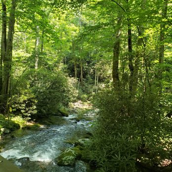 Roaring Fork Motor Nature Trail - Hiking Near Me