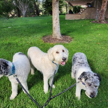 Animal Villa - Pet Sitting Near Me - Anaheim Hills, California Animal Villa - Pet Sitting Near Me - Anaheim Hills, California