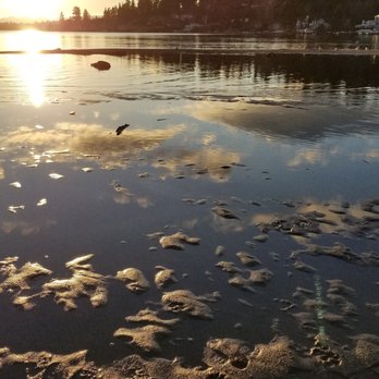 Juanita Beach Park - Reflections from the beach portion, shallow waters - Beaches Near Me - Kirkland, Washington