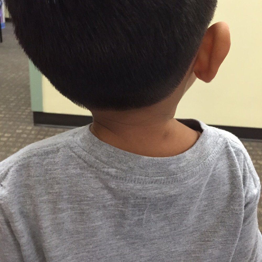 Hair One - The back of my 2 year olds head - Hair Salons Near Me - West Springfield, Virginia