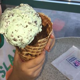 Mint Chocolate Chip
