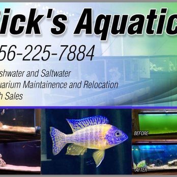 RICK'S AQUATICS - Updated January 2026 - Pharr, Texas - Aquarium