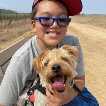 Alston Park - Dog Parks Near Me - Napa, California