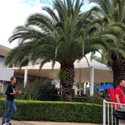 Waves Fitness & Aquatic - Palm trees