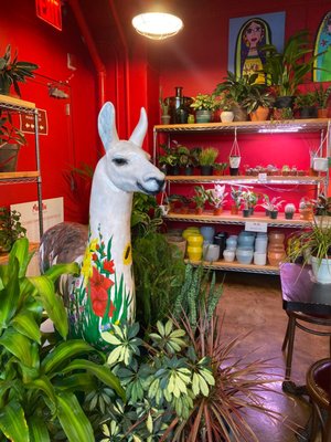 Mae Mae Café & Plant Shop by null