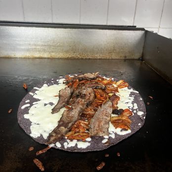Taco Man - Tacos Near Me - Philadelphia, Pennsylvania Taco Man - Tacos Near Me - Philadelphia, Pennsylvania