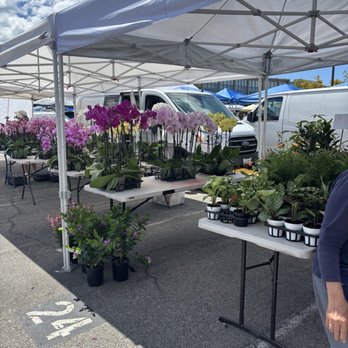 De Anza Flea Market - Flea Markets Near Me - Cupertino, California