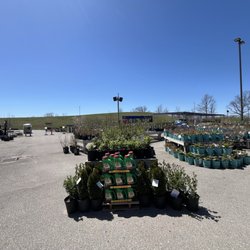 Terra Greenhouses - Plants