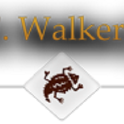 Robert F. Walker Jr., DDS, FAGD, LVIF
