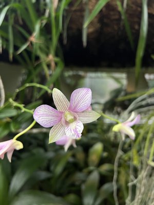 The State Botanical Garden of Georgia by null