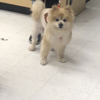 Petco - Pet Stores Near Me - San Mateo, California Petco - Pet Stores Near Me - San Mateo, California