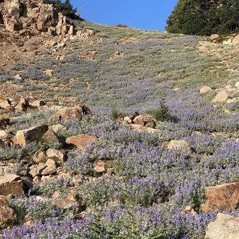 Lassen Volcanic National Park - Parks Near Me - Mineral, California