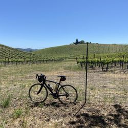 Urban Cycling - Paso Robles
