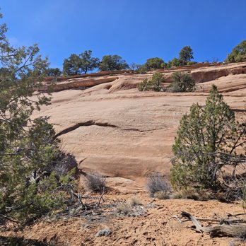 Colorado National Monument - The sandstone - Hiking Near Me - Fruita, Colorado Colorado National Monument - The sandstone - Hiking Near Me - Fruita, Colorado