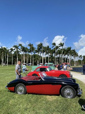 Deering Estate by null