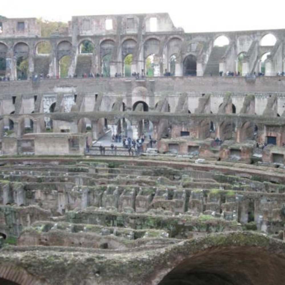 Colosseo - Local Flavor Near Me - Rome, RM