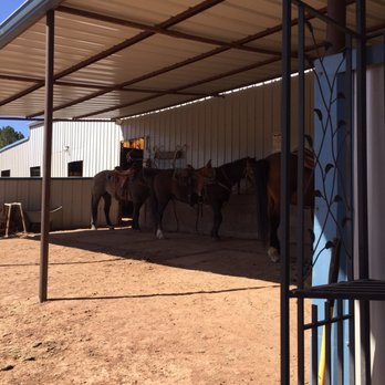 Cedar Crest Country Cottage and Stables - Setting up for the ride - Quantas, Hughie, Buckeroo, Butch (left to right) - Horseback Riding Near Me - Cedar Crest, New Mexico