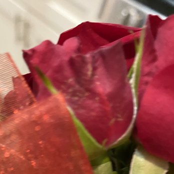 Zuzu's Petals - Old flowers, full of blemishes - Florists Near Me - Brooklyn, New York Zuzu's Petals - Old flowers, full of blemishes - Florists Near Me - Brooklyn, New York