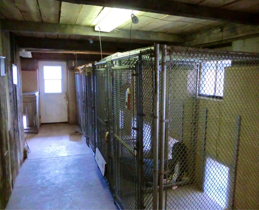 BARNYARD BOARDING DOG KENNELS CLOSED 49029 Stick Rd, Amherst, OH Yelp