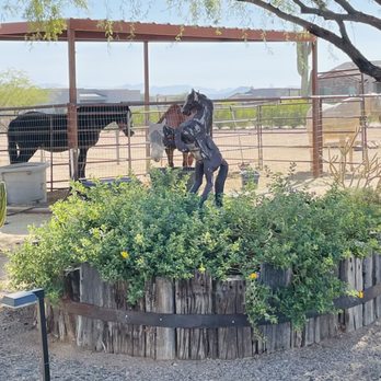 Reigning Grace Ranch - Community Service/Non-Profit Near Me - Rio Verde, Arizona Reigning Grace Ranch - Community Service/Non-Profit Near Me - Rio Verde, Arizona