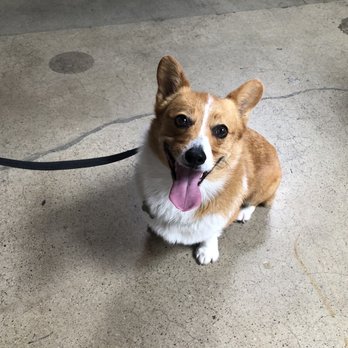 Lost Cause Meadery - Georgie! - Wine Tasting Room Near Me - San Diego, California