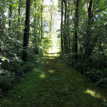Bryan Woods Nature Preserve - 0.2 mile corridor back to the forest - Parks Near Me - Frankfort, Indiana Bryan Woods Nature Preserve - 0.2 mile corridor back to the forest - Parks Near Me - Frankfort, Indiana