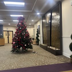 New Psalmist Baptist Church - One of the trees on the lower level