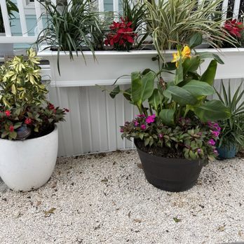 Sun Outdoors Key Largo - Pretty plants everywhere. - RV Parks Near Me - Key Largo, Florida Sun Outdoors Key Largo - Pretty plants everywhere. - RV Parks Near Me - Key Largo, Florida