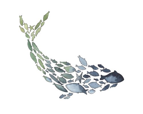 Little Fish Swim School by null