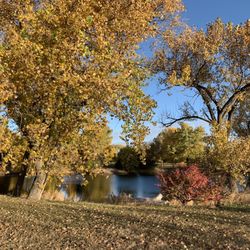 Windmill State Recreation Area - Pond at the Windmill State Park, NE