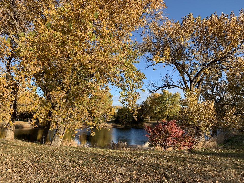 WINDMILL STATE RECREATION AREA Updated September 2024 2625 Lowell