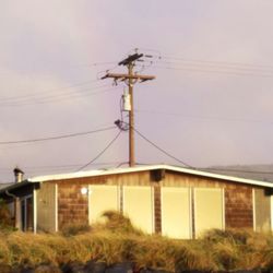 Knot Very Lodge - Cabin from the beach