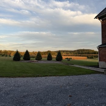 Elizabeth Farms Christmas Trees - View - Christmas Trees Near Me - Lititz, Pennsylvania Elizabeth Farms Christmas Trees - View - Christmas Trees Near Me - Lititz, Pennsylvania