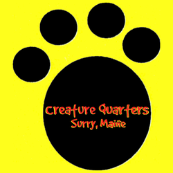 Creature Quarters - Let your socialized dog join the fun, send them to camp on the beautiful Blue Hill Peninsula in Maine all year long.