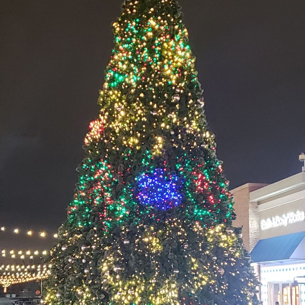 The Promenade at Bolingbrook - They've got a nice Christmas tree during the holidays synced to music - Shopping Centers Near Me - Bolingbrook, Illinois The Promenade at Bolingbrook - They've got a nice Christmas tree during the holidays synced to music - Shopping Centers Near Me - Bolingbrook, Illinois