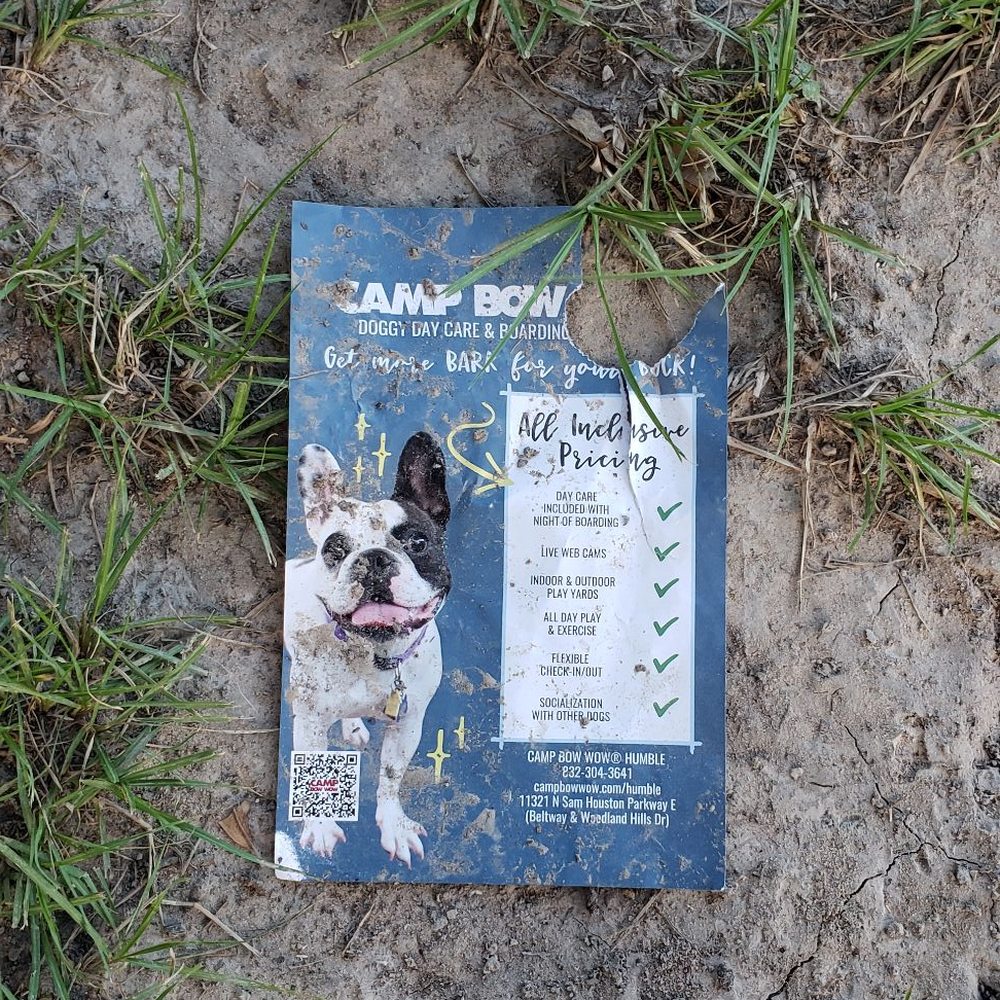 Littering at the dog parks