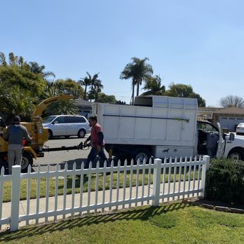 Tree Services Flores - Tree Services Near Me Tree Services Flores - Tree Services Near Me