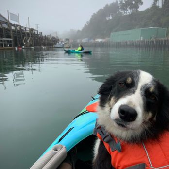 Kayak Noyo - Rafting/Kayaking Near Me - Fort Bragg, California Kayak Noyo - Rafting/Kayaking Near Me - Fort Bragg, California
