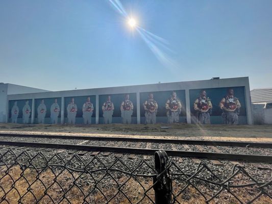 Napa Valley Vine Trail by null