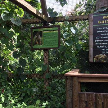 Monkey Jungle - Zoos Near Me - Miami, Florida Monkey Jungle - Zoos Near Me - Miami, Florida