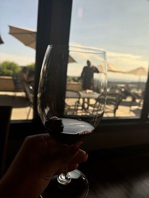 Willamette Valley Vineyards by null