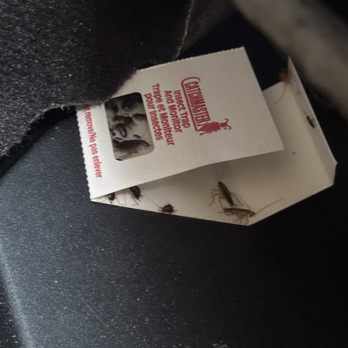 Enterprise Rent-A-Car - Roaches located underneath the drivers seat and passenger seat......!!! - Car Rental Near Me - Tampa, Florida