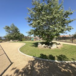 Griffin Park