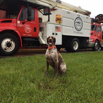 Jack's Complete Tree Service - Tree Services Near Me - Vero Beach, Florida