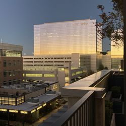 RH Austin | The Gallery at Domain Northside - Views towards Expedia from rooftop terrace