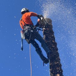 Gourley Tree Removal